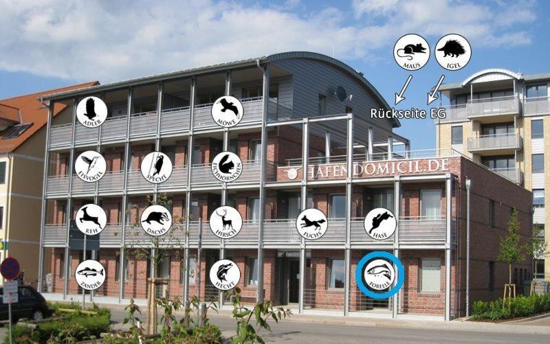Hafendomicil Appartement Wh01 - Forelle Waren  Buitenkant foto